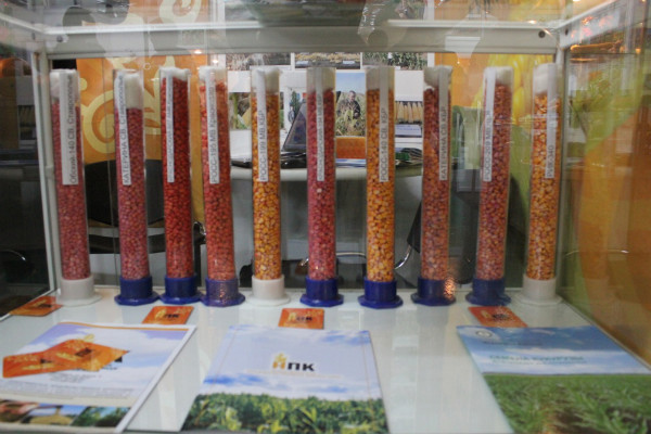Стенд с представленными гибридами семян кукурузы