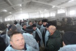 Открытие первой очереди молочной фермы на тысячу голов в селе Верх-Урюм, Здвинского района  